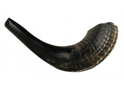 Black-Natural-Rams-Horn-Shofar--Medium-1314+85-20568-500x500