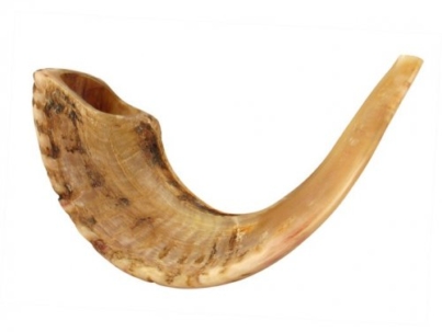 Natural-Rams-Horn-Shofar--Large-size-1718+85-20573-500x500