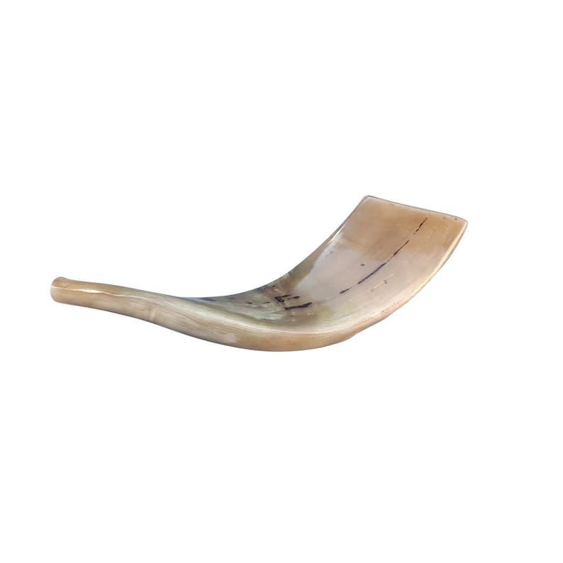 Polished Rams Horn Shofar – Small 10″-12″ By MUGHALCRAFTS – MughalCrafts